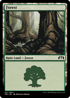 Forest