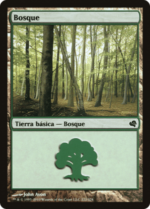 Forest