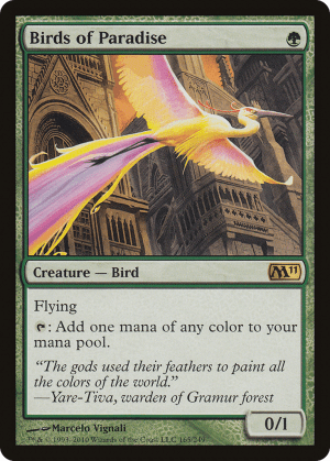 Birds of Paradise