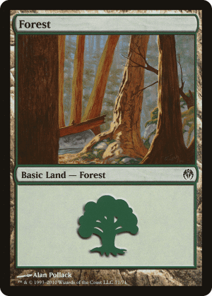 Forest