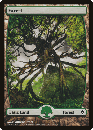 Forest