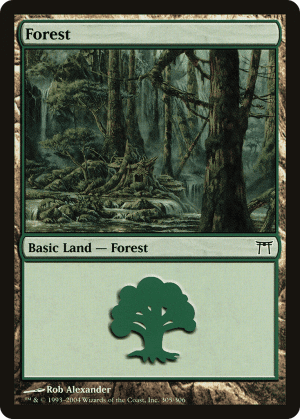 Forest