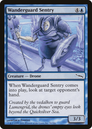Wanderguard Sentry