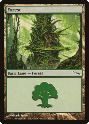Forest