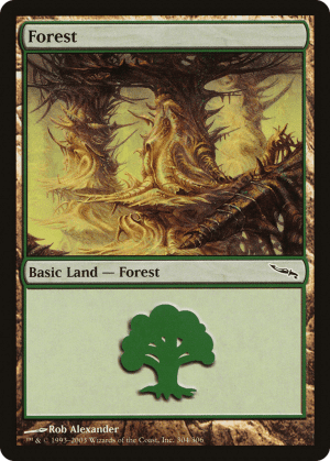 Forest