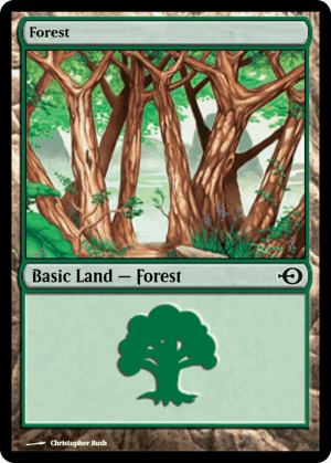 Forest