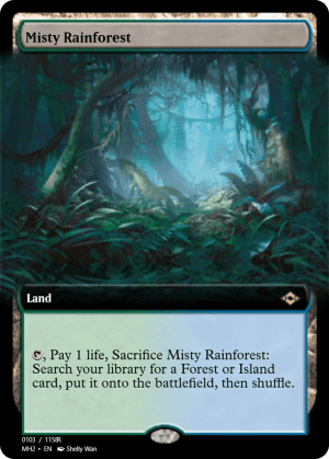 Misty Rainforest