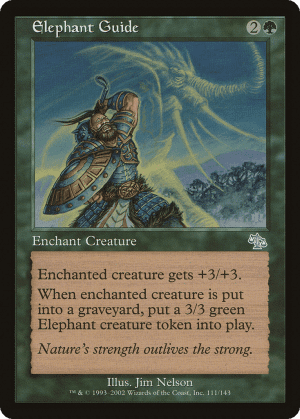 Elephant Guide