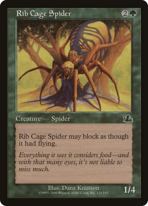 Rib Cage Spider