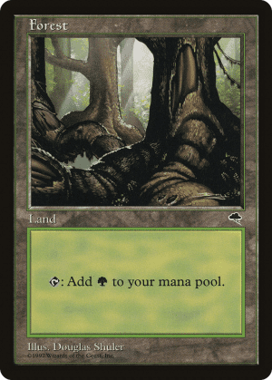 Forest