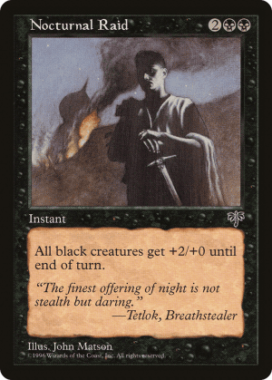 Nocturnal Raid