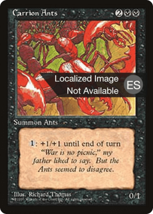 Carrion Ants