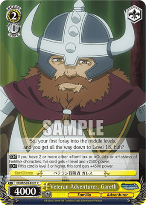 Veteran Adventurer, Gareth