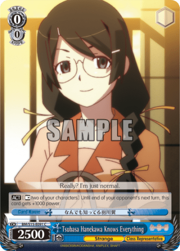 Tsubasa Hanekawa Knows Everything — BAKEMONOGATARI