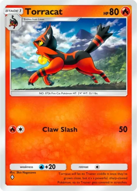 Torracat (12) — Eevee Grove