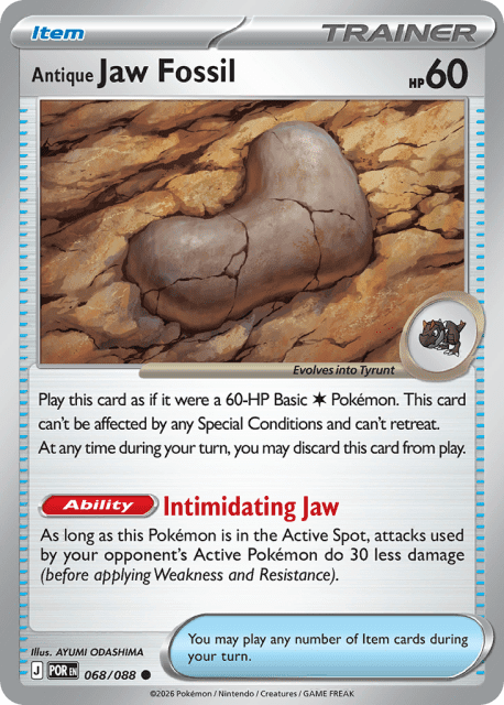 Antique Jaw Fossil (68) — Perfect Order