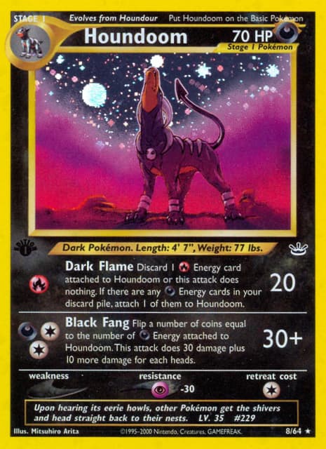 Houndoom (First Edition Holofoil) (8) — Neo Revelation