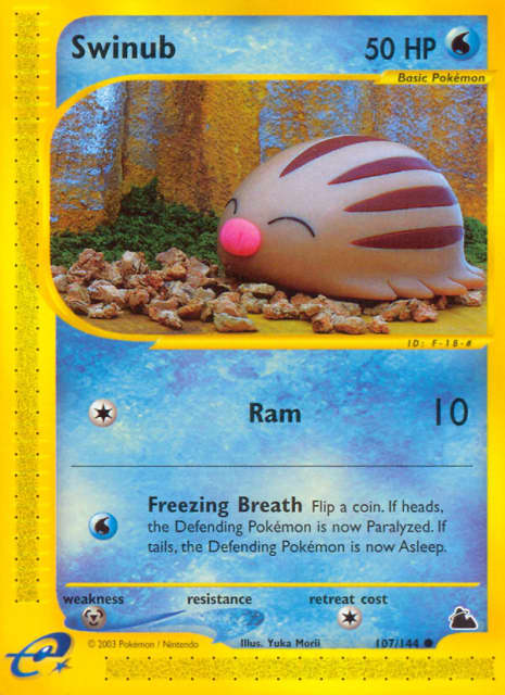 Swinub (Reverse Holofoil) (107) — Skyridge
