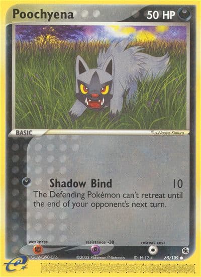 Poochyena (Reverse Holofoil) (65) — Ruby & Sapphire