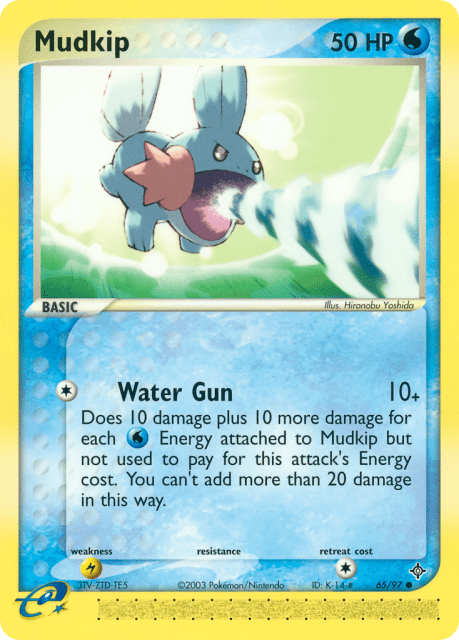 Mudkip (65) — Dragon