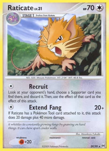 Raticate (29) — Arceus