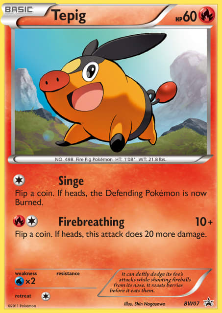 Tepig (Holofoil) (BW07) — BW Black Star Promos