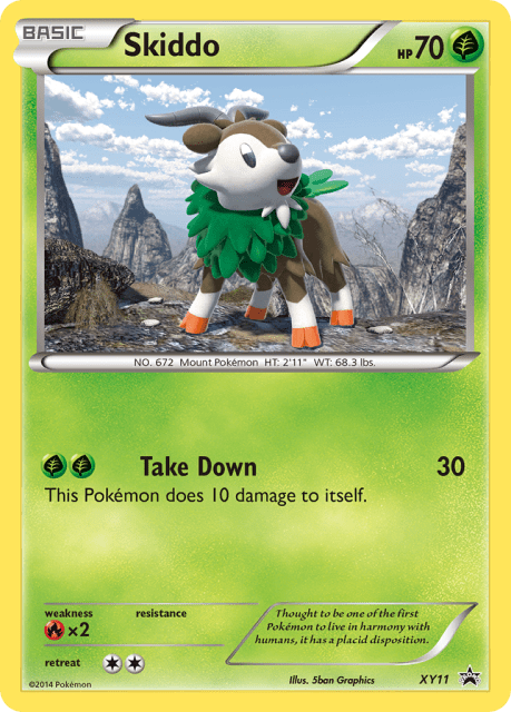 Skiddo (Holofoil) (XY11) — XY Black Star Promos