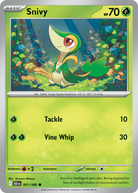 Snivy (1) — Black Bolt