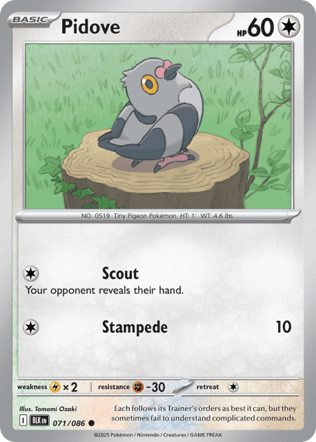 Pidove (Reverse Holofoil) (71) — Black Bolt