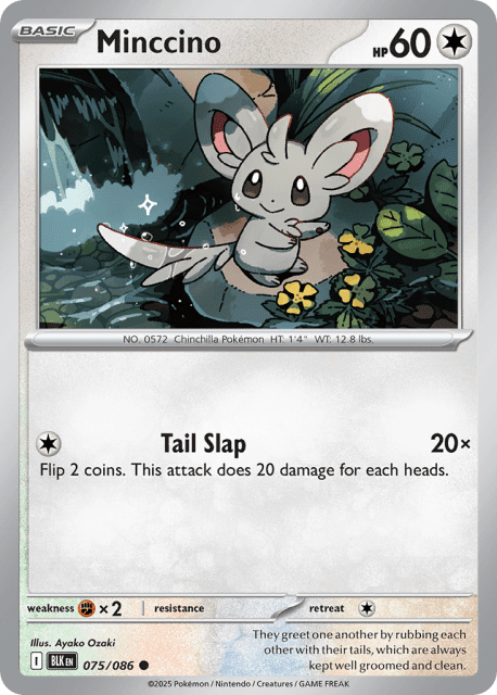 Minccino (Reverse Holofoil) (75) — Black Bolt