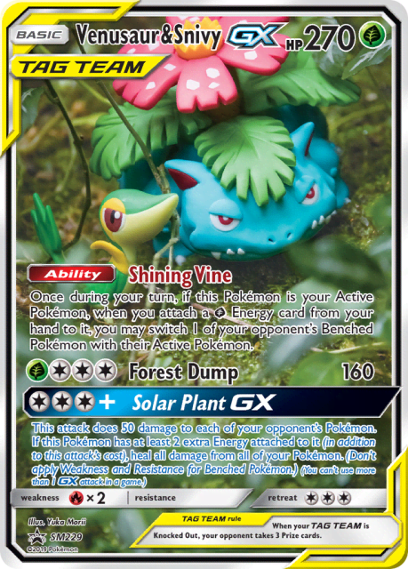 Venusaur & Snivy-GX (Holofoil) (SM229) — SM Black Star Promos
