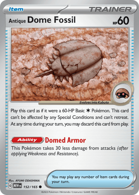 Antique Dome Fossil (152) — 151