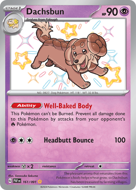 Dachsbun (Holofoil) (161) — Paldean Fates
