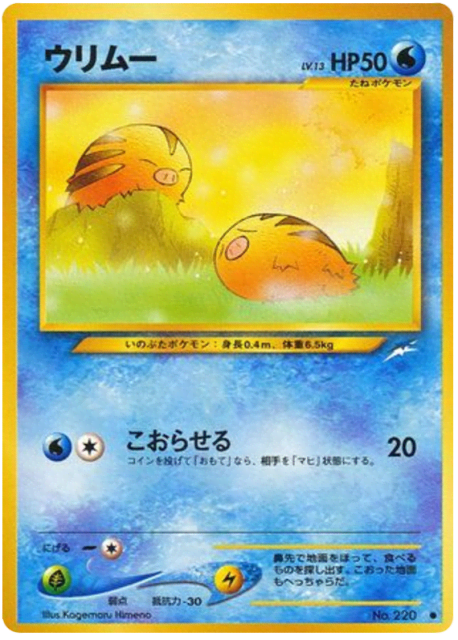 Swinub (ウリムー) (220) — 闇、そして光へ... (Darkness, and to Light...)