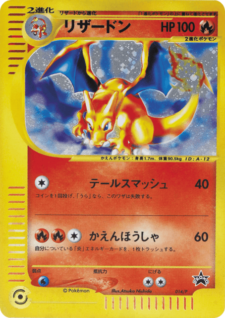 Charizard (14) — P Promos