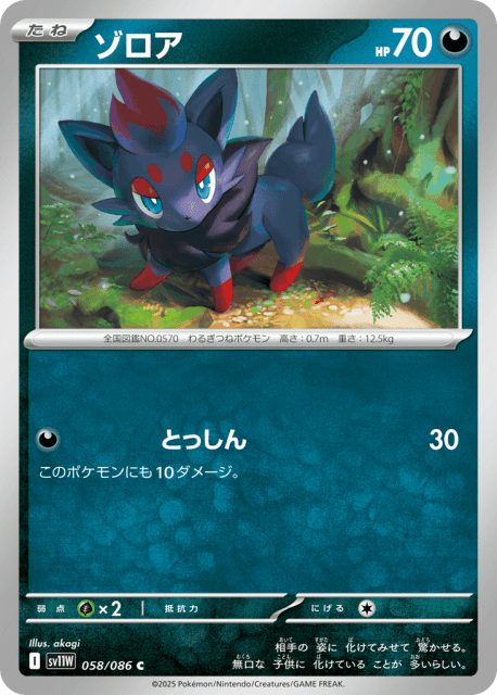 Zorua (ゾロア) (58) — ホワイトフレア (White Flare)