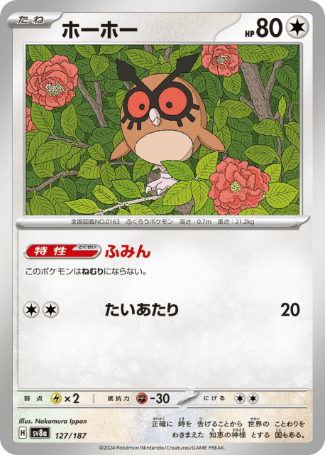 Hoothoot (ホーホー) (127) — テラスタルフェスex (Terastal Festival ex)