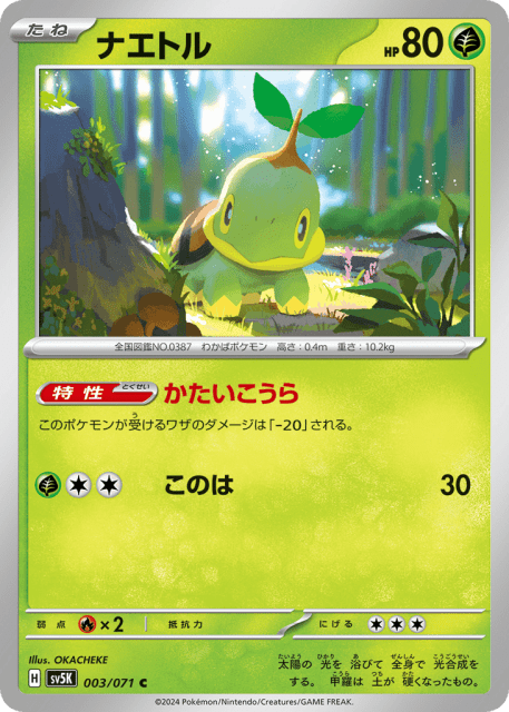Turtwig (ナエトル) (3) — ワイルドフォース (Wild Force)