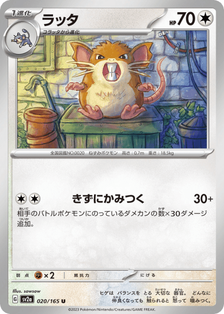 Raticate (ラッタ) (20) — ポケモンカード151 (Pokémon Card 151)