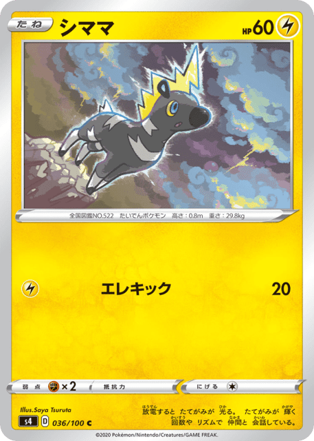 Blitzle (シママ) (36) — 仰天のボルテッカー (Amazing Volt Tackle)