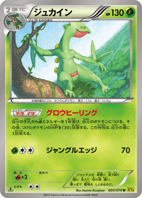 Sceptile (ジュカイン) (5) — ガイアボルケーノ (Gaia Volcano)