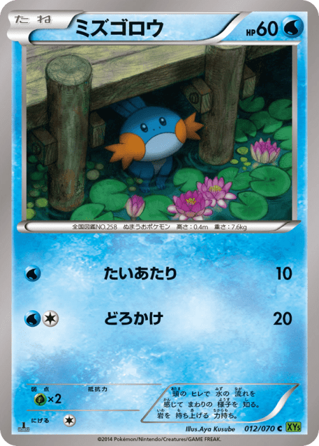 Mudkip (ミズゴロウ) (12) — タイダルストーム (Tidal Storm)