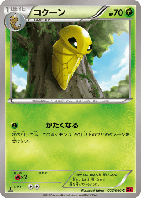 Kakuna (コクーン) (2) — コレクションY (Collection Y)