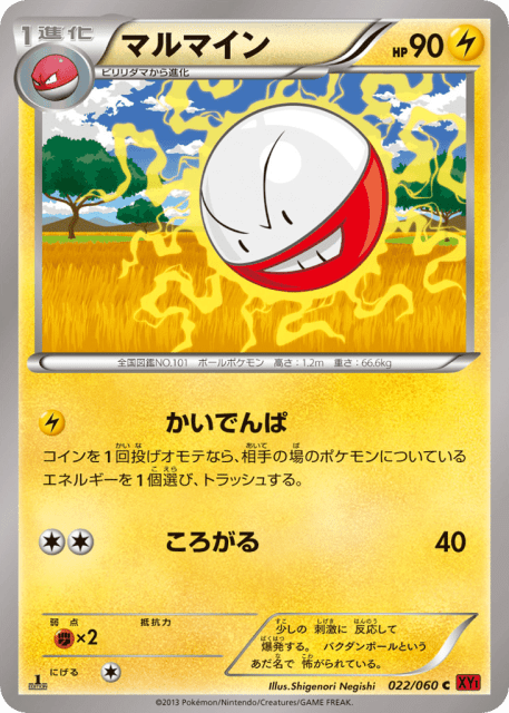 Electrode (マルマイン) (22) — コレクションY (Collection Y)