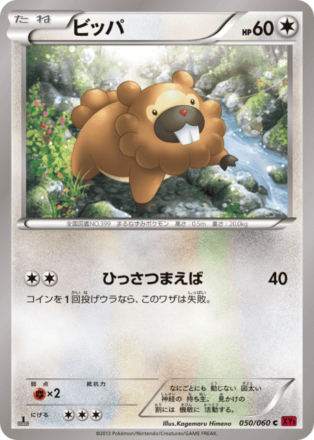 Bidoof (ビッパ) (50) — コレクションY (Collection Y)