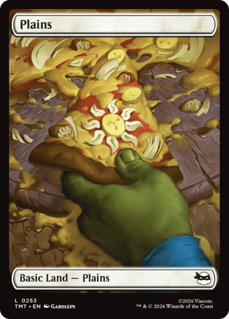 Plains (253) — Teenage Mutant Ninja Turtles