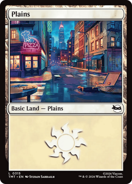 Plains (315) — Teenage Mutant Ninja Turtles