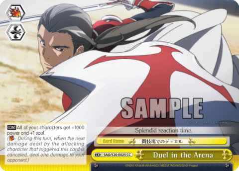 Duel in the Arena — Sword Art Online