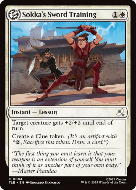 Sokka's Sword Training (84) — Avatar: The Last Airbender Eternal