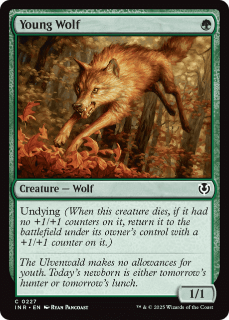 Young Wolf (227) — Innistrad Remastered